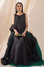 Picture of Dilara