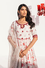 Rosie-Eid-Edit