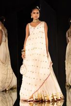 Picture of Chandni