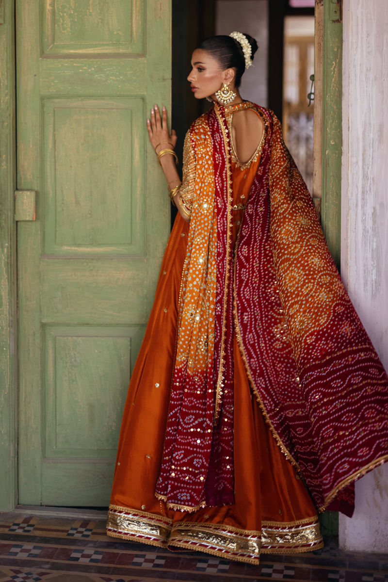 Picture of Shehla