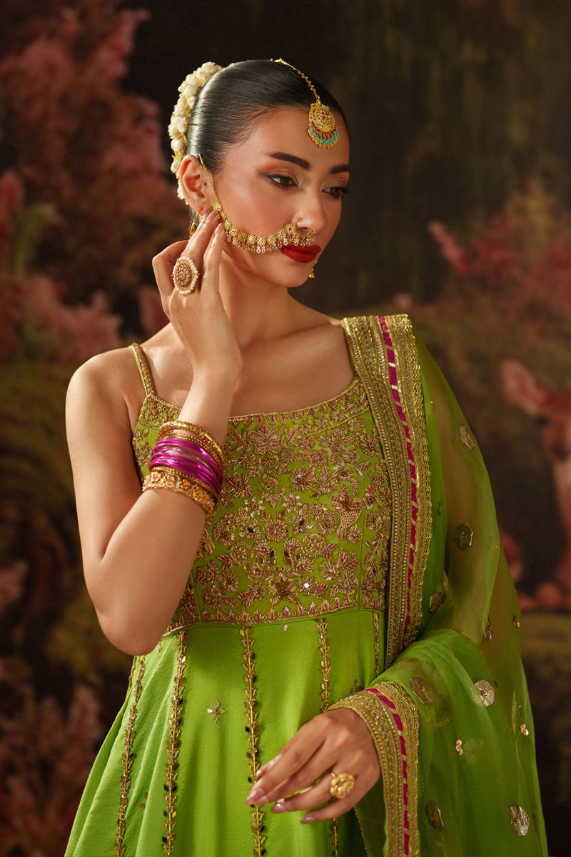 Picture of Shama