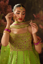 Picture of Shama