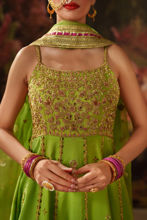Picture of Shama