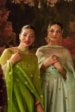 Picture of Shama