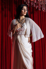 Picture of Swan