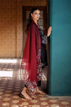 Picture of Nisa
